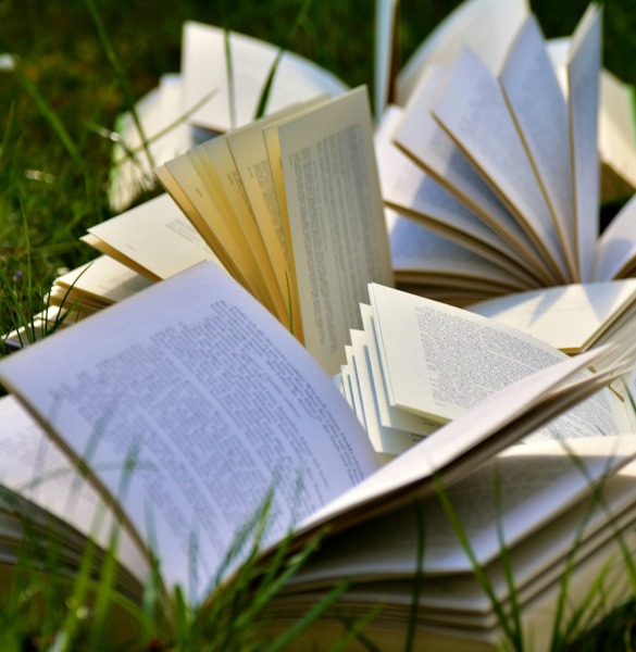 Books in Grass